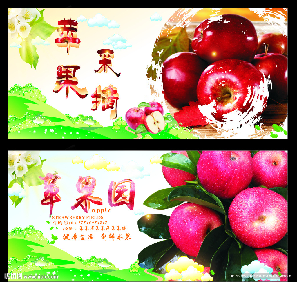 苹果