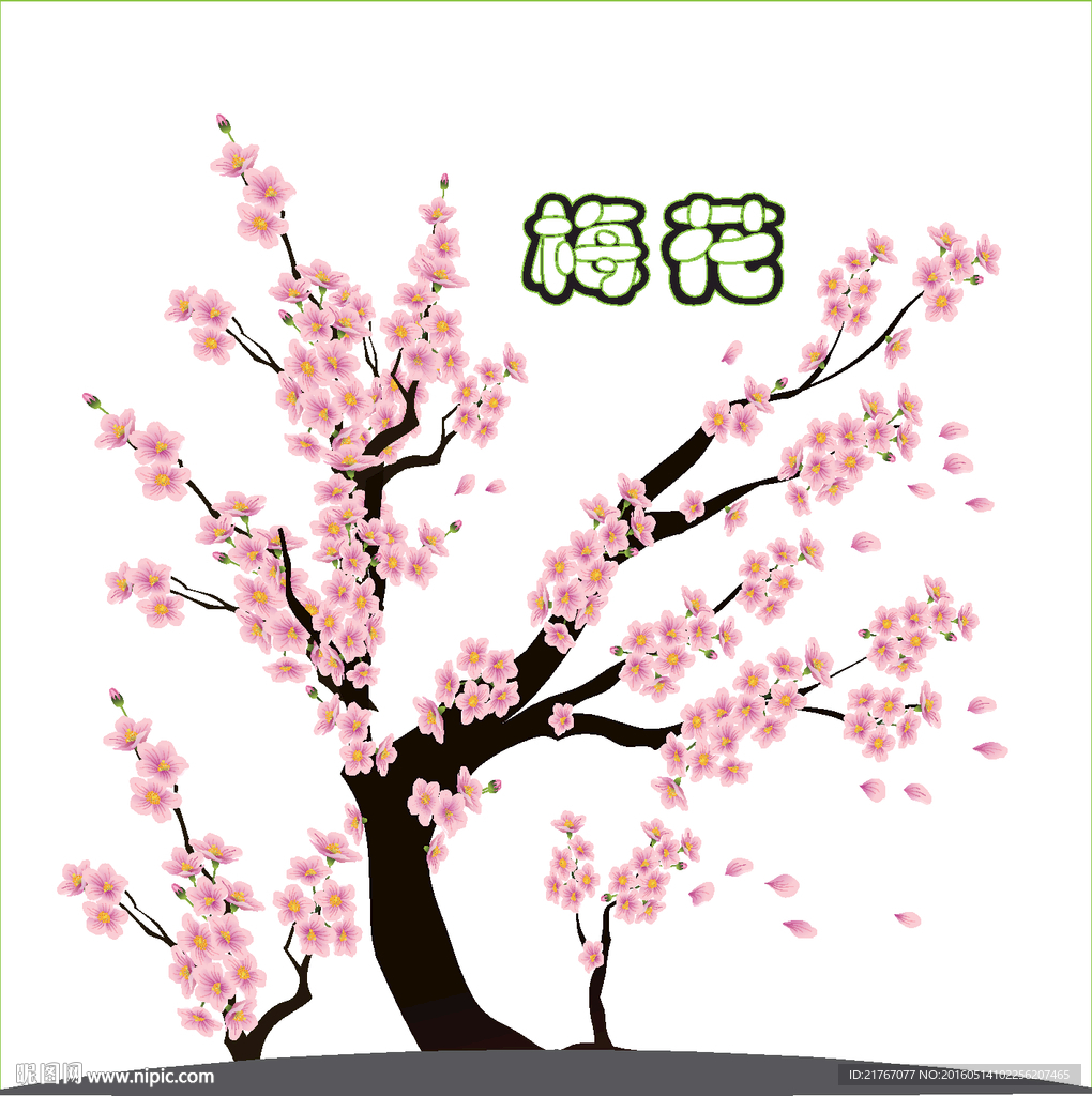 梅花