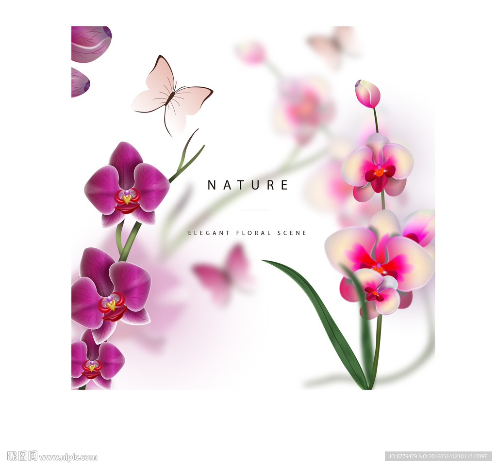 花蝴蝶