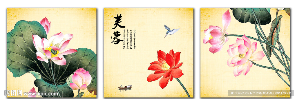 国画荷花