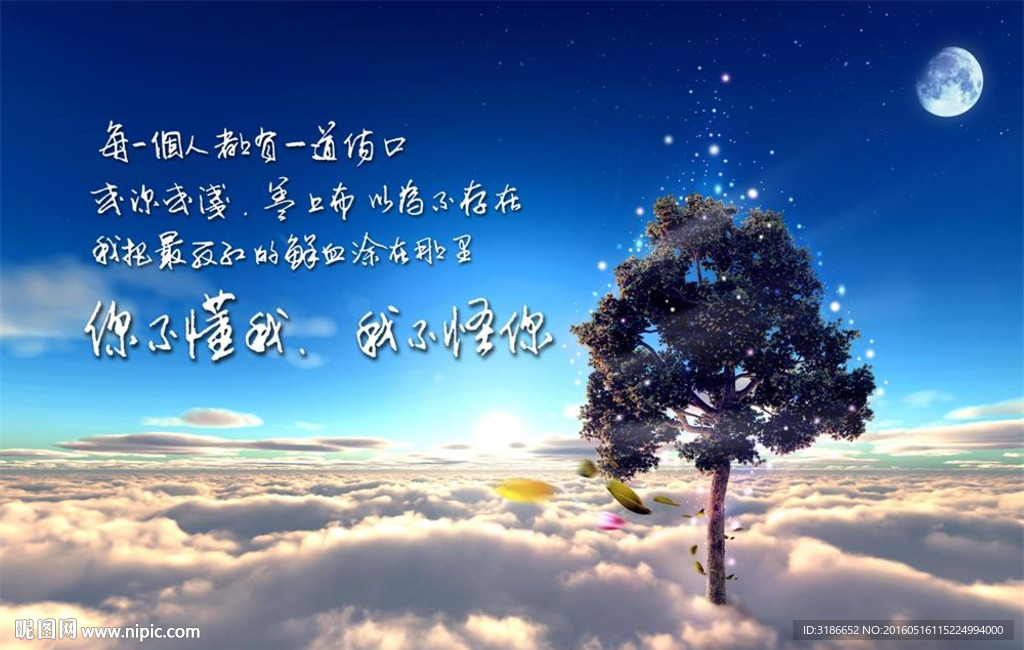 你不懂我我不怪你