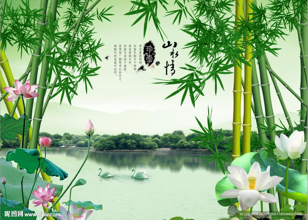 山水情荷花