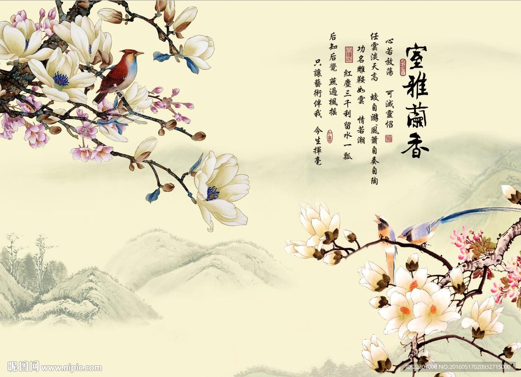 国画玉兰花