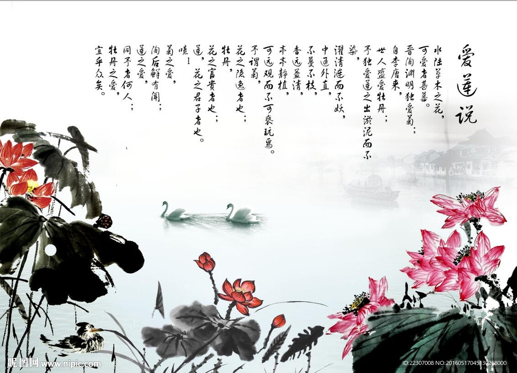 爱莲说荷花