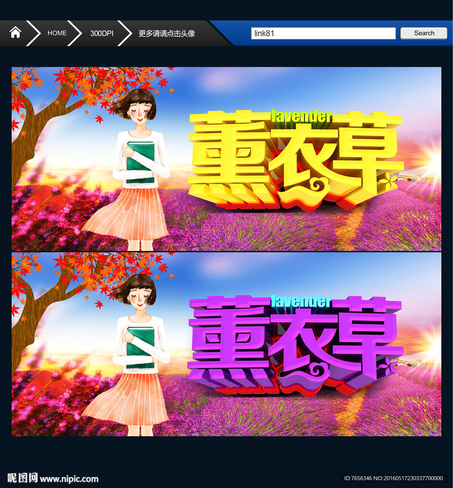 薰衣草 唯美
