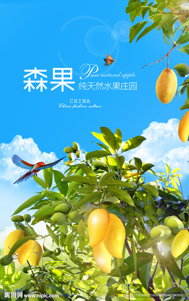 芒果海报
