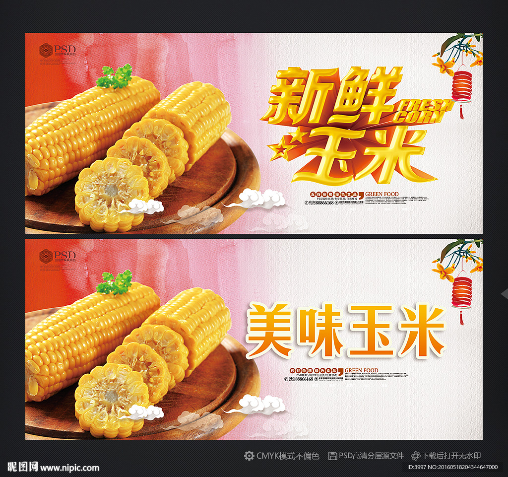玉米
