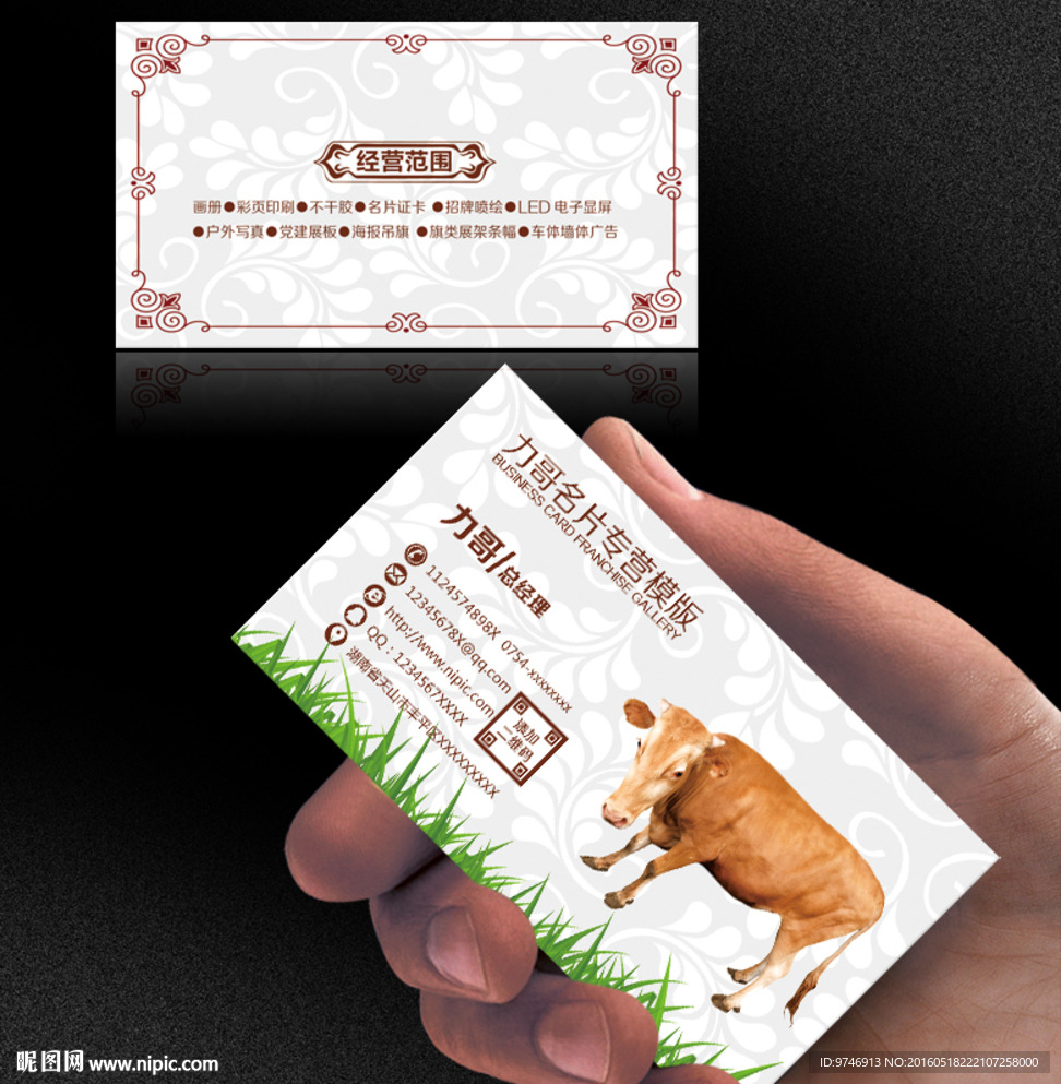 牛名片