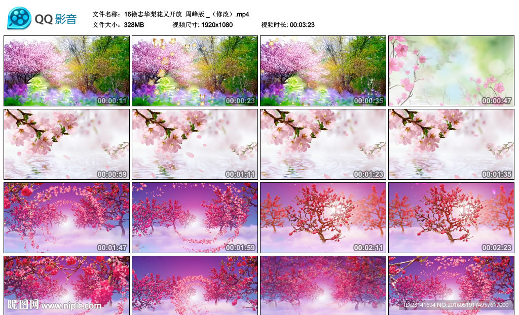 花海花瓣图形婚礼舞蹈歌舞背景