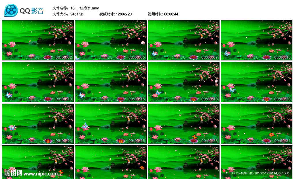鸟叫蝶飞绿色背景动画视频舞台