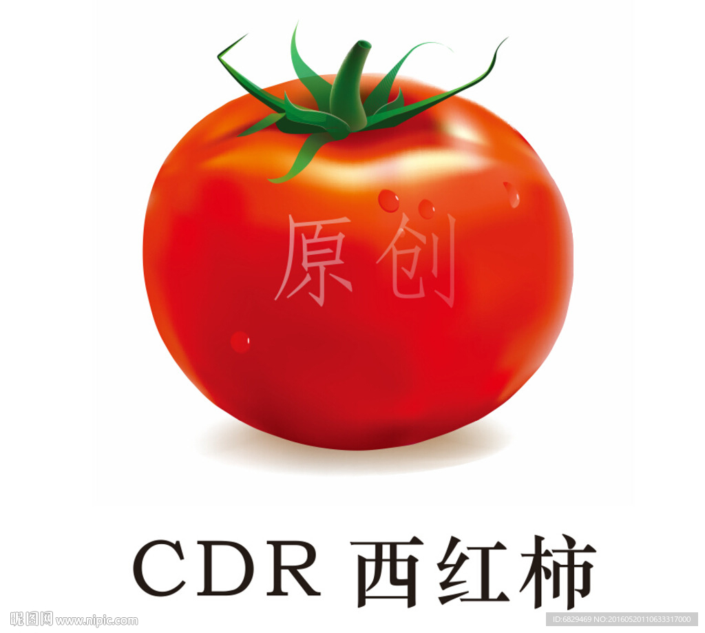 矢量西红柿