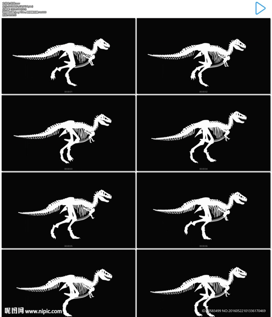 恐龙骨骼