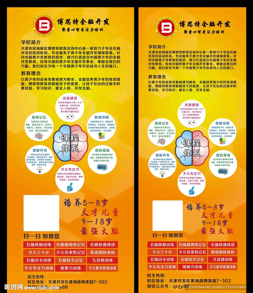大脑开发展架