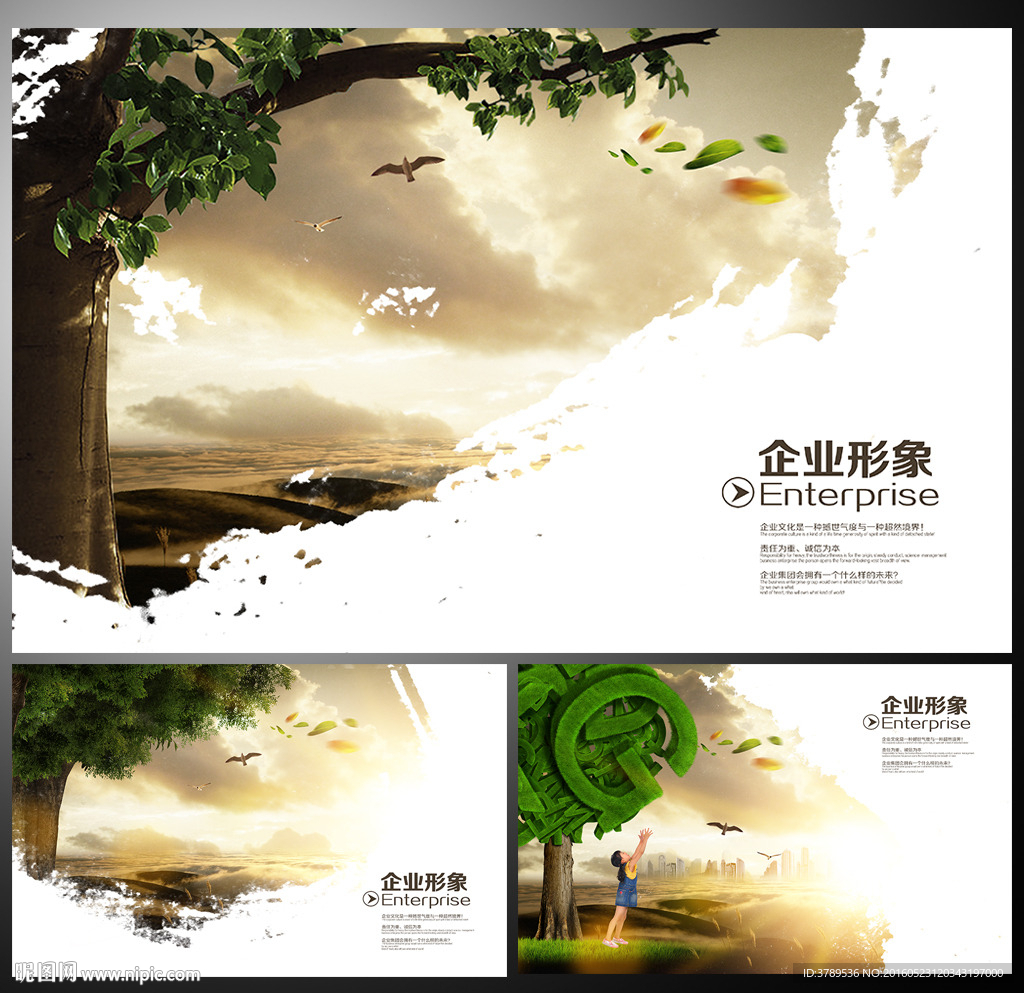 公司形象