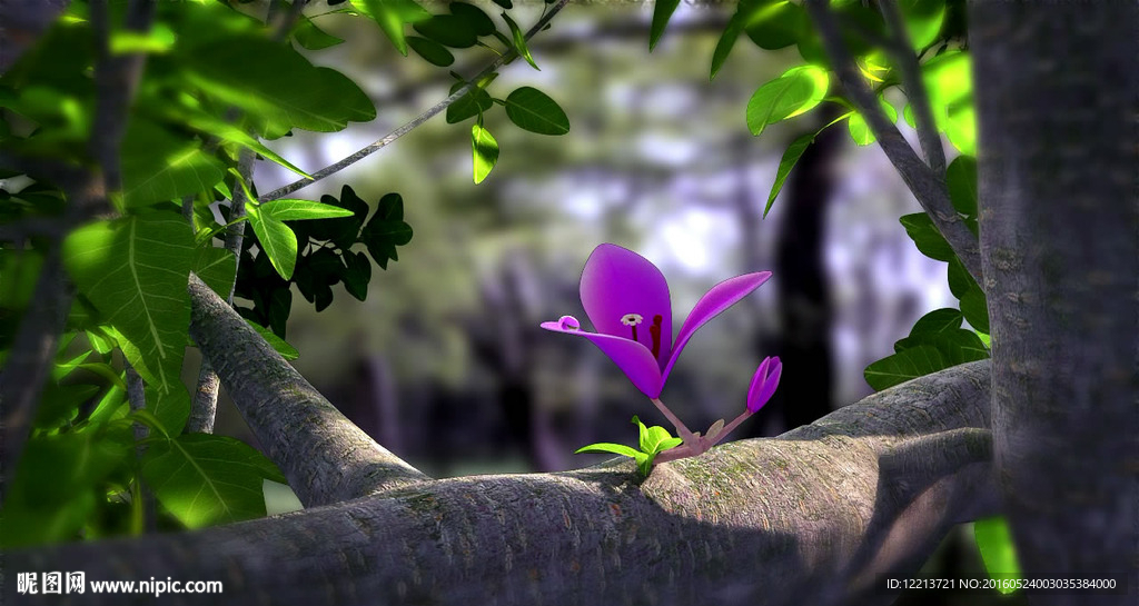 花开