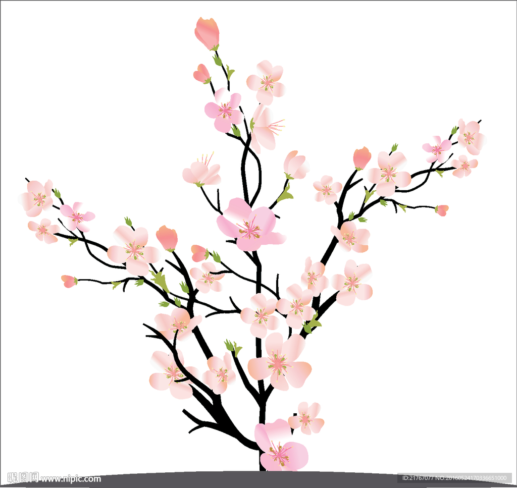 梅花