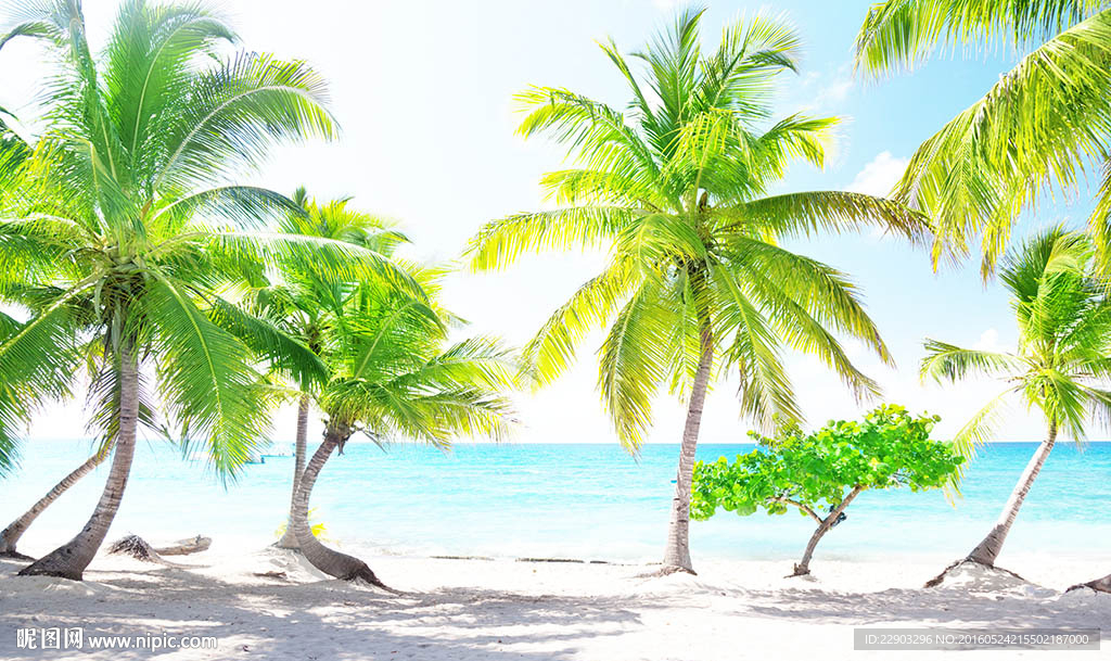 现代简约椰树背景墙