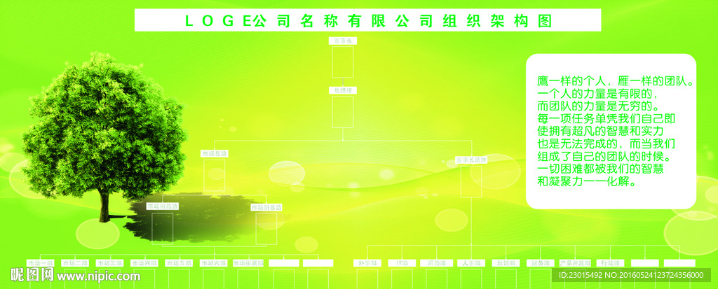 公司结构图