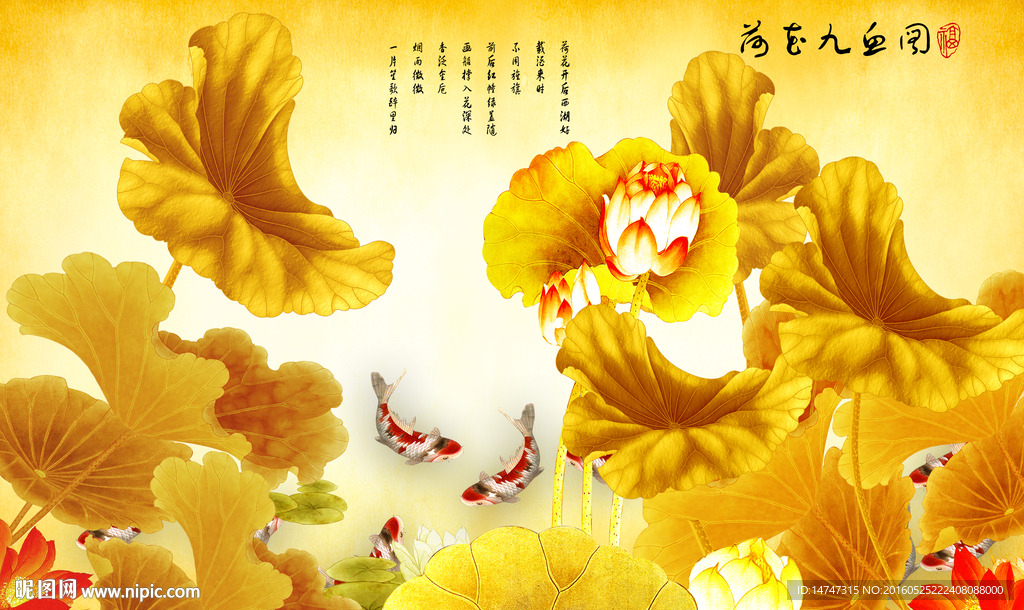 金色荷花