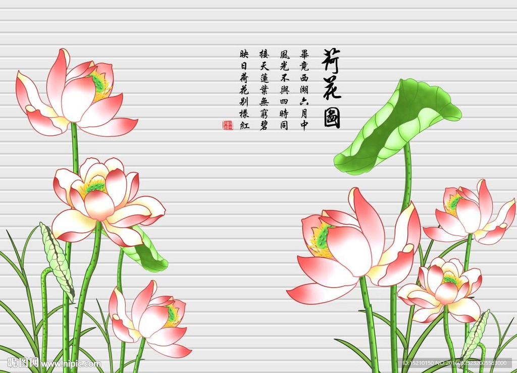 荷花图