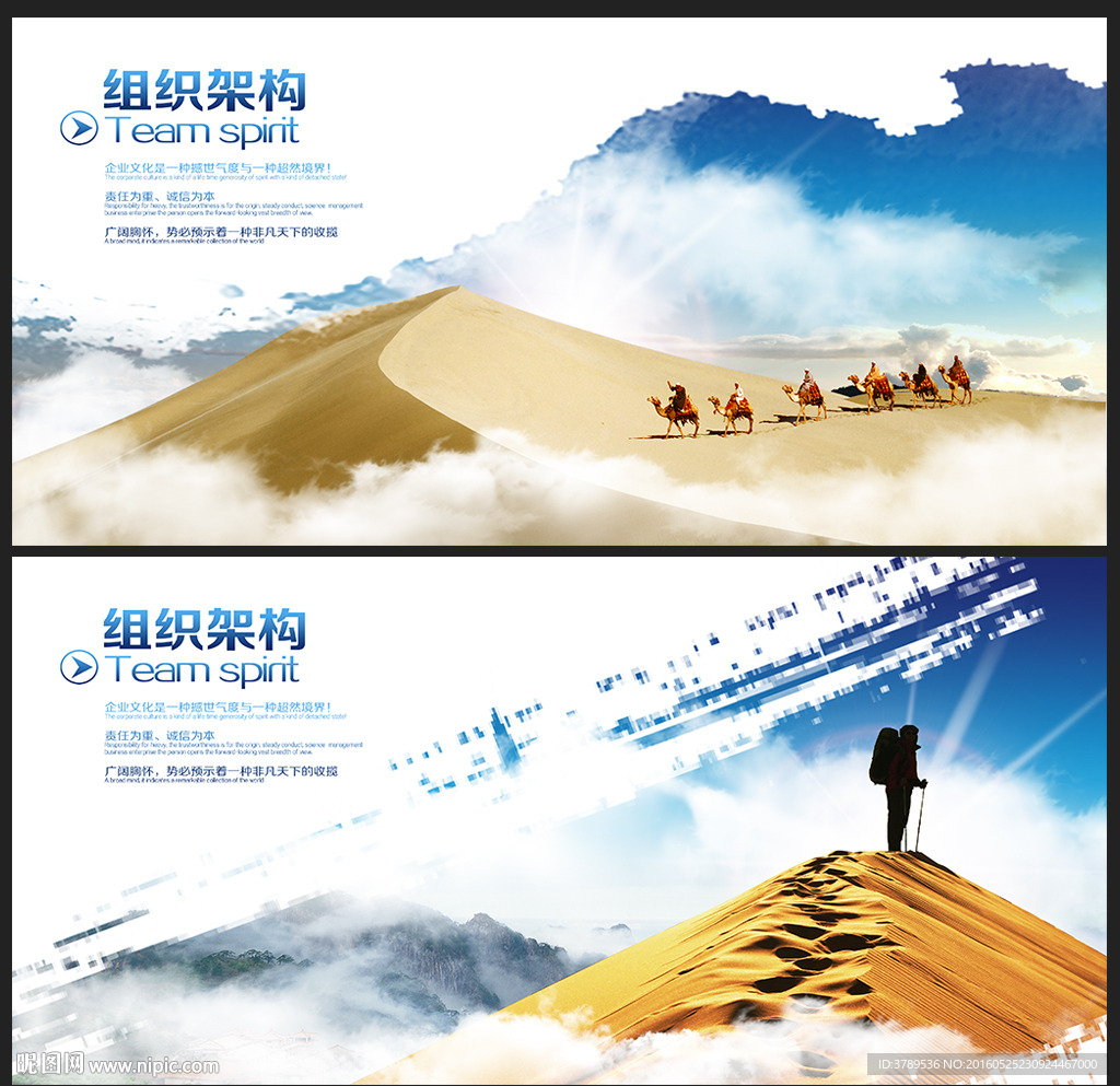 驼队精神
