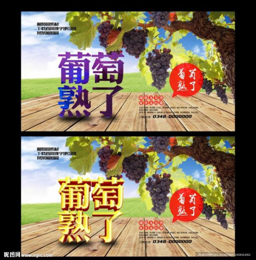 采摘园 葡萄熟了