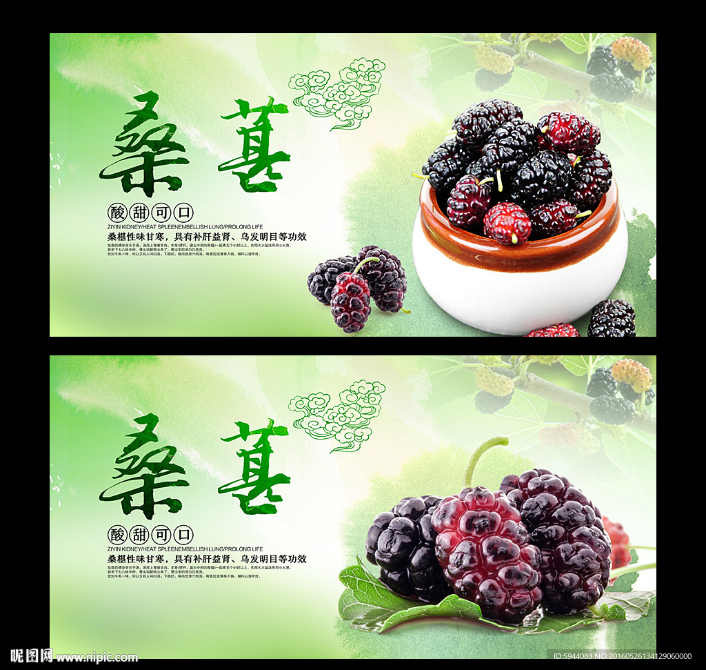 桑葚