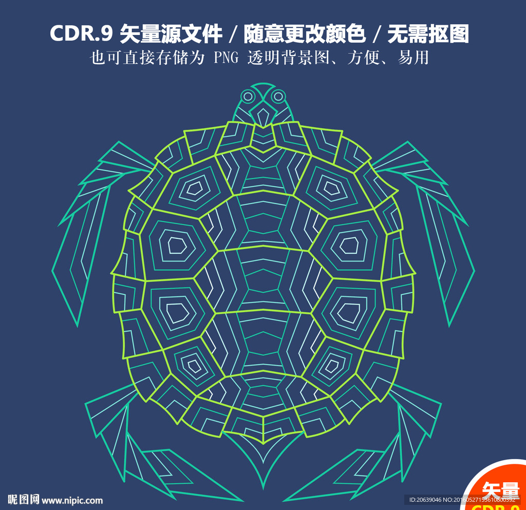 手绘线描海龟矢量图