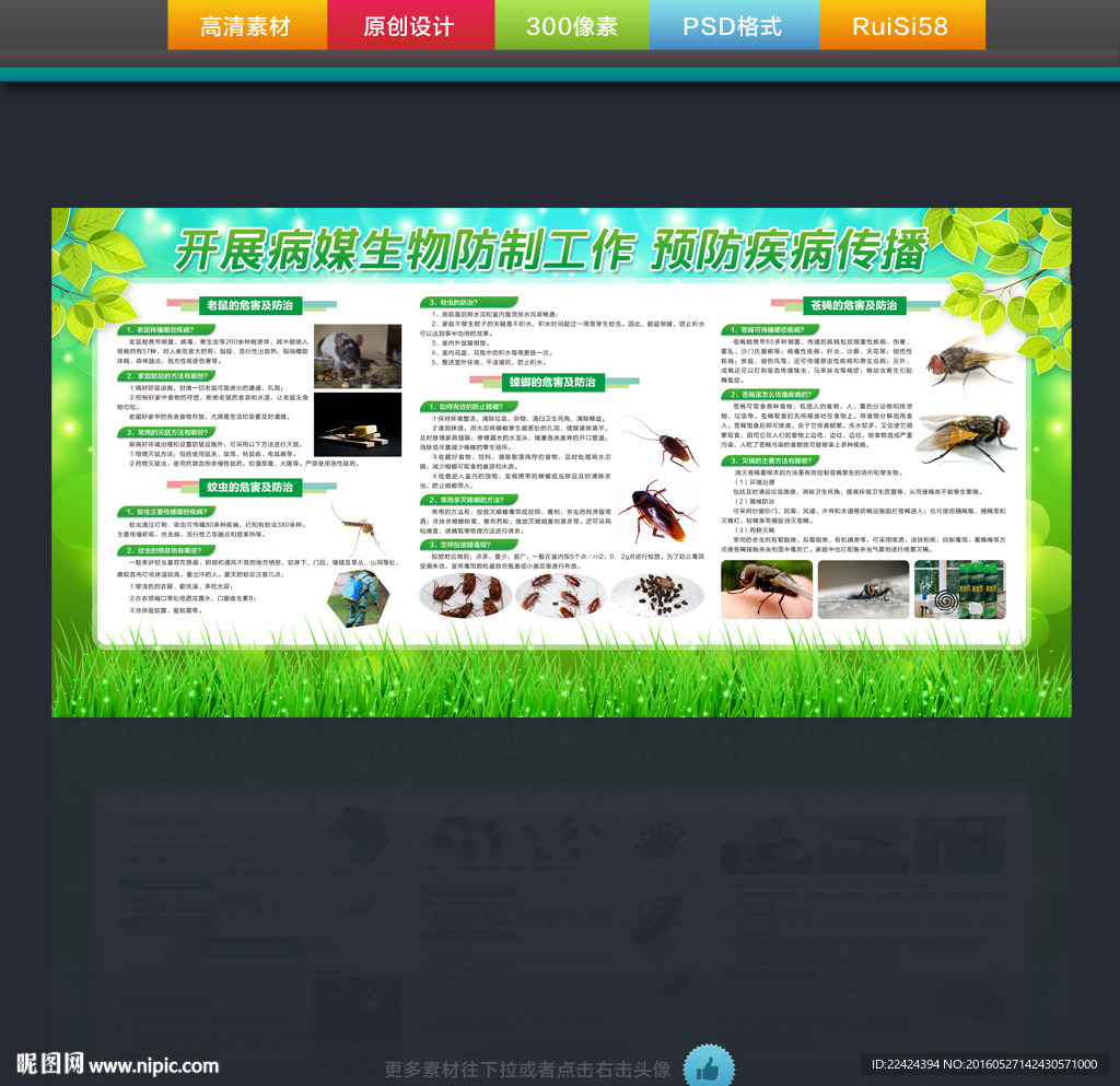 除四害宣传栏