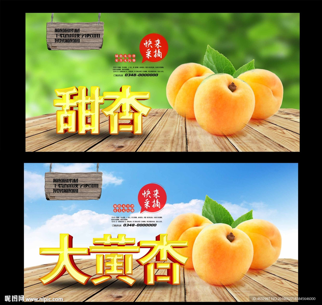 杏 采摘园