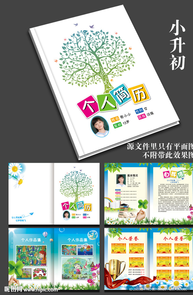 小升初入学简历