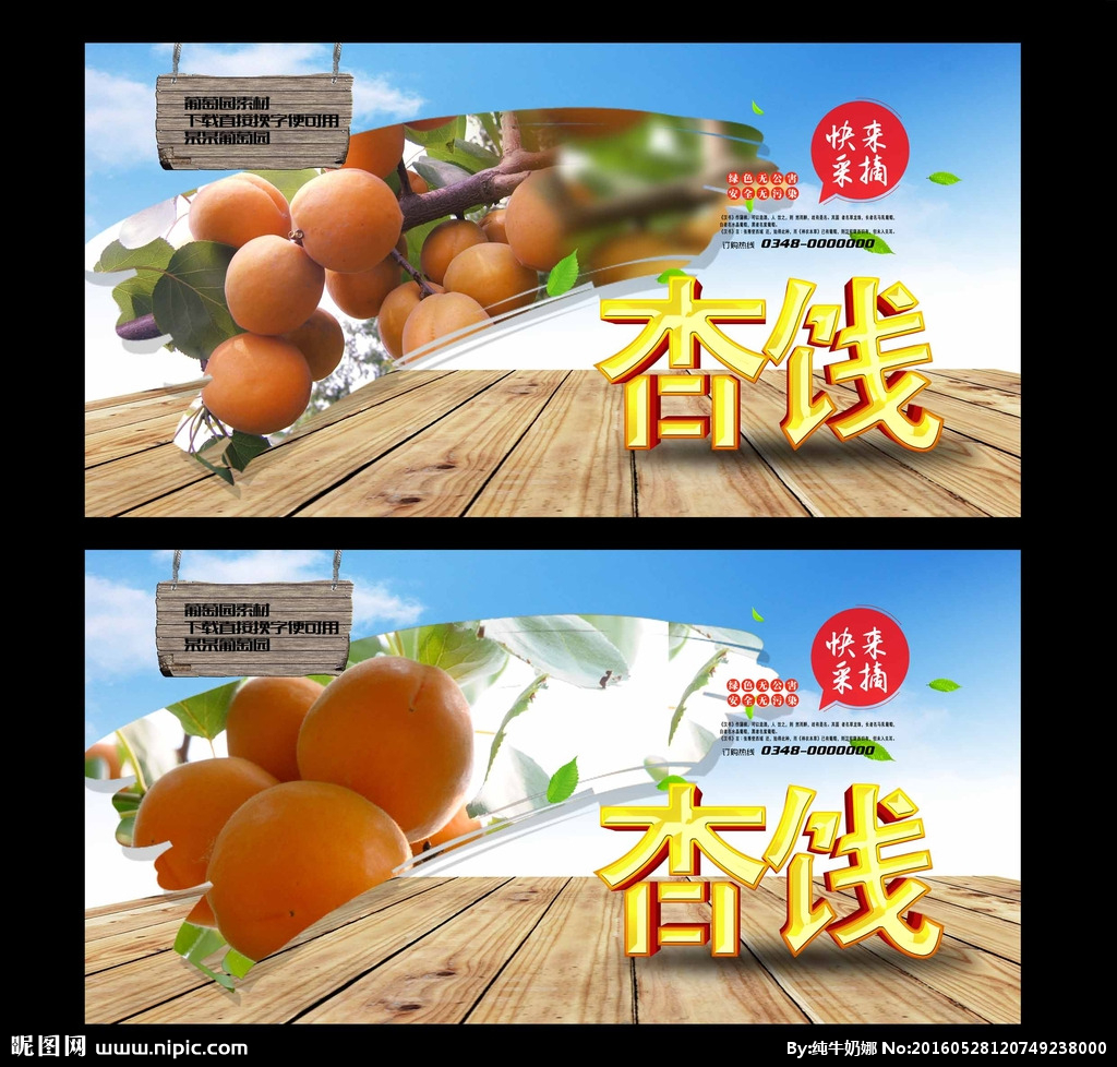 杏饯 采摘园
