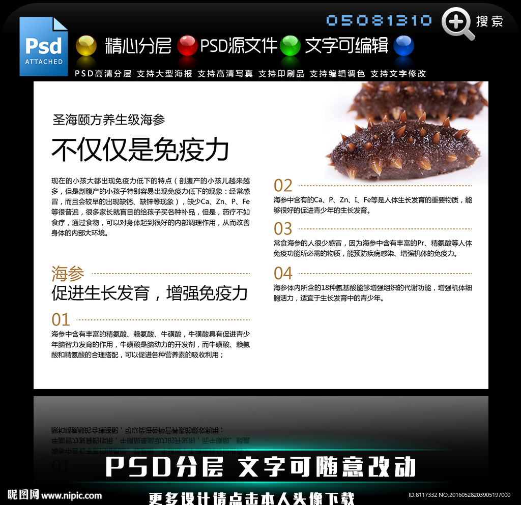 圣海颐方海参儿童