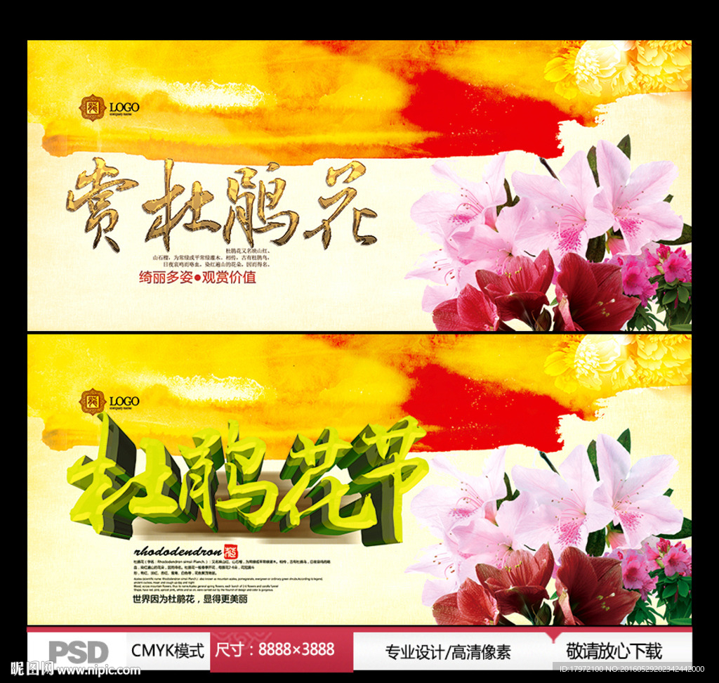 赏杜鹃花 杜鹃花节