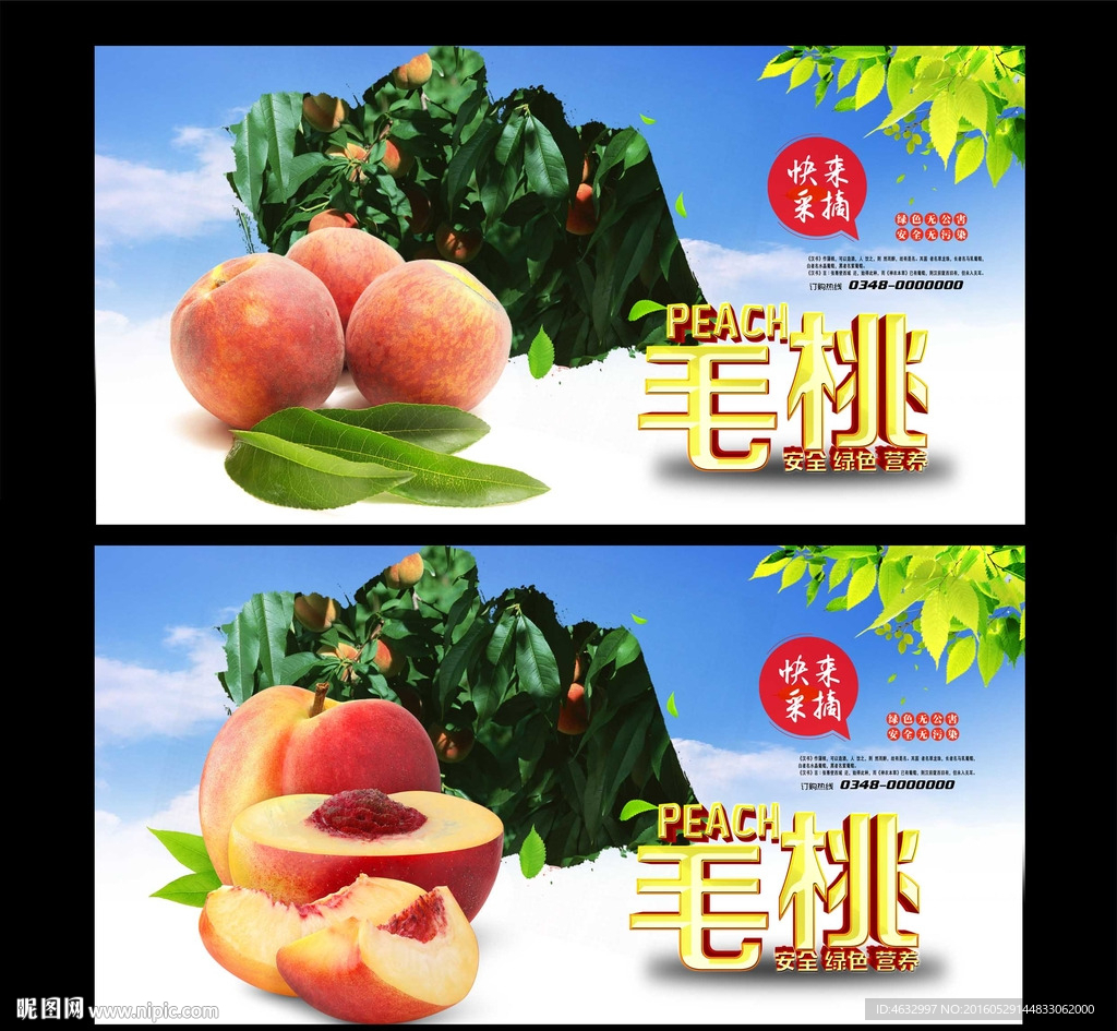 桃子 采摘园
