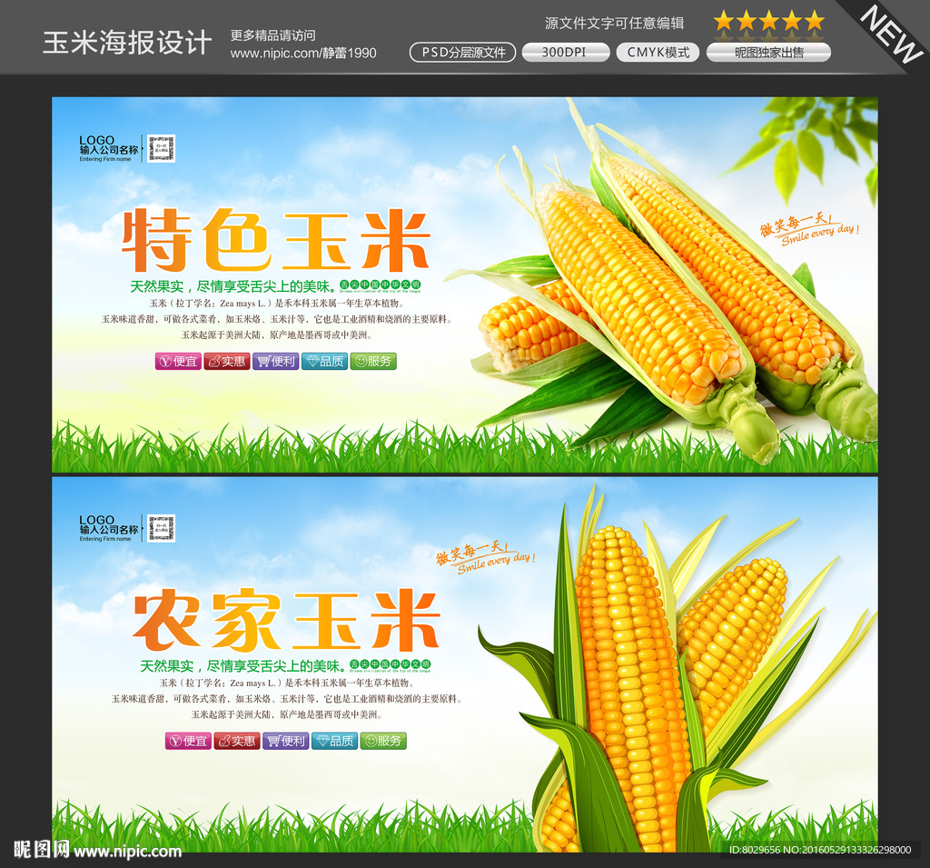 玉米图片