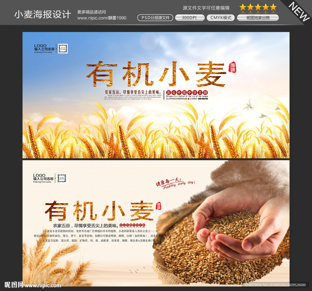 小麦图片