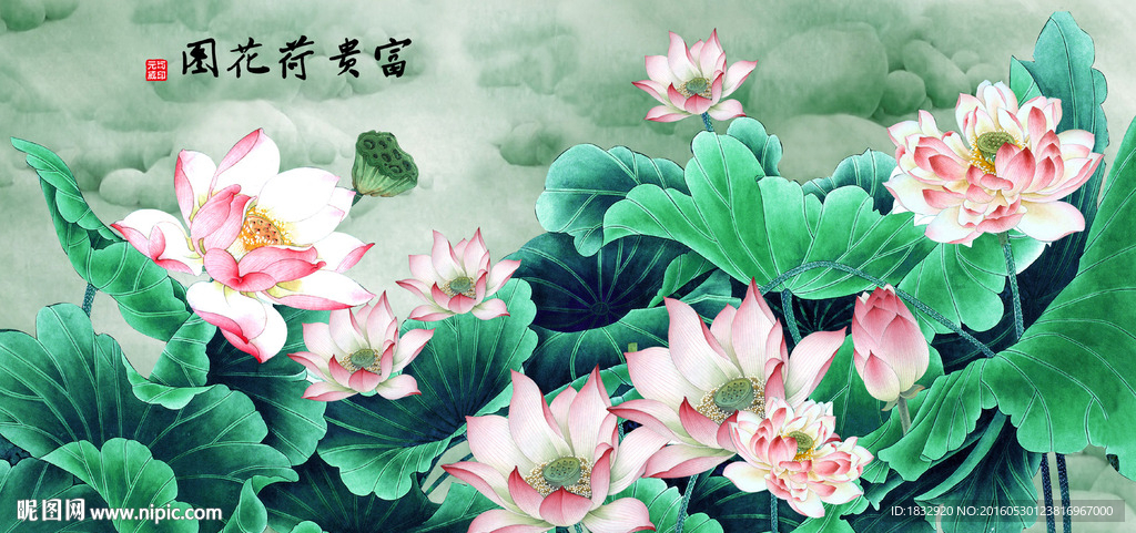 荷花