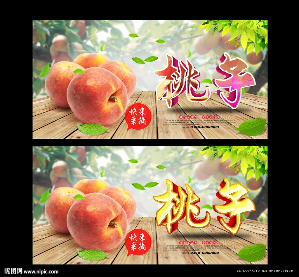 桃子 采摘园