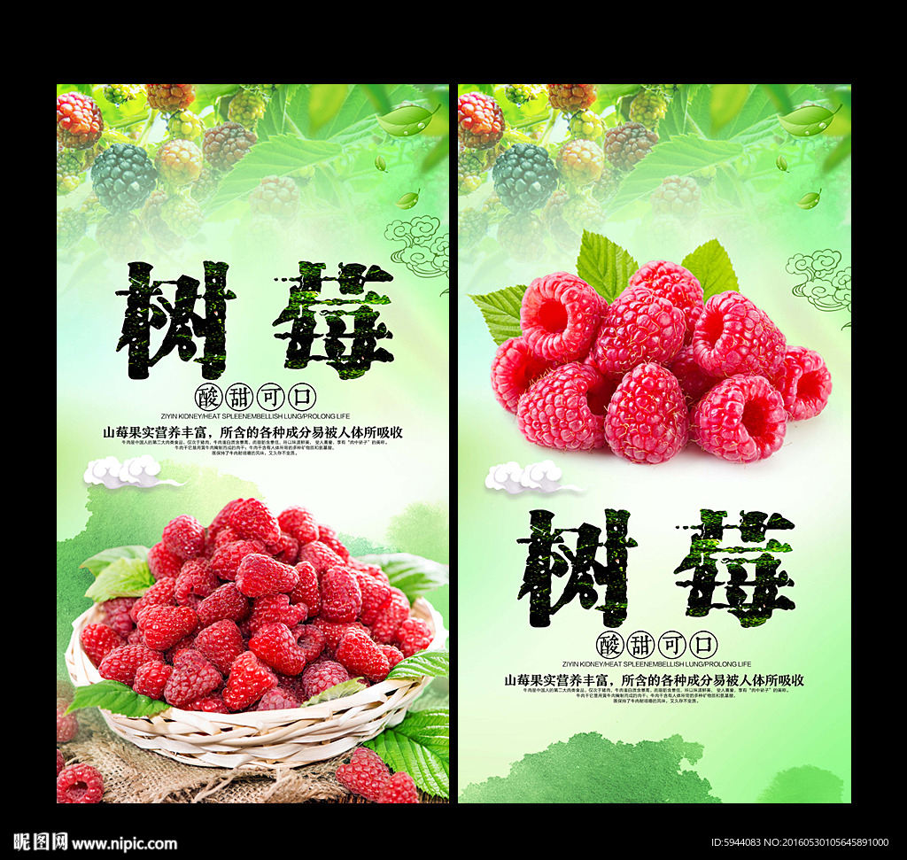 树莓