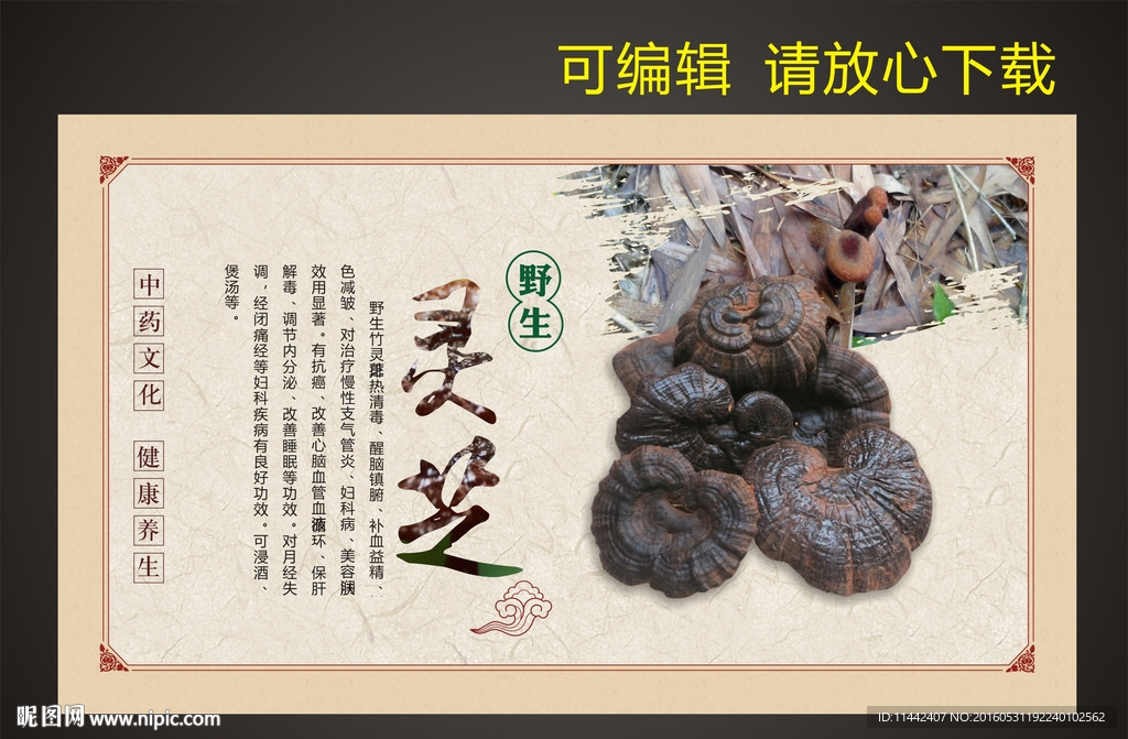 灵芝
