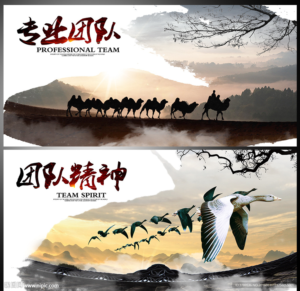 公司画册