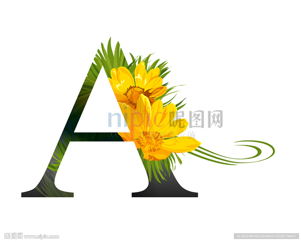 A英文字母