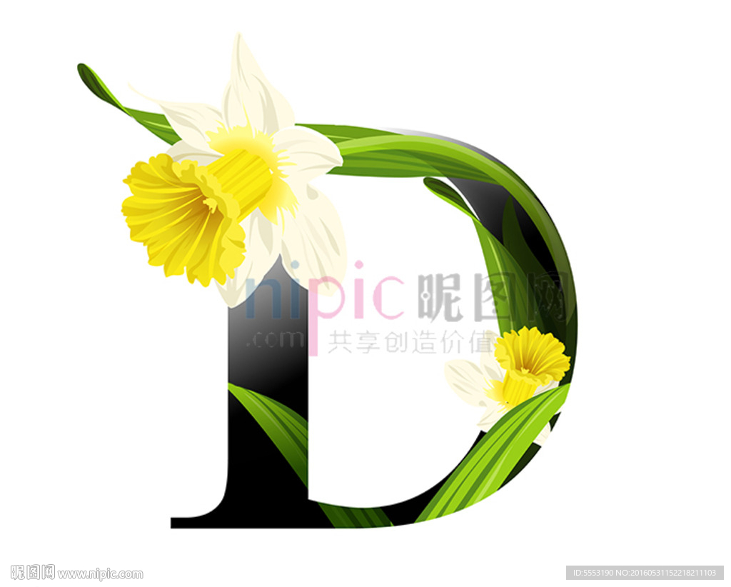 D英文字母