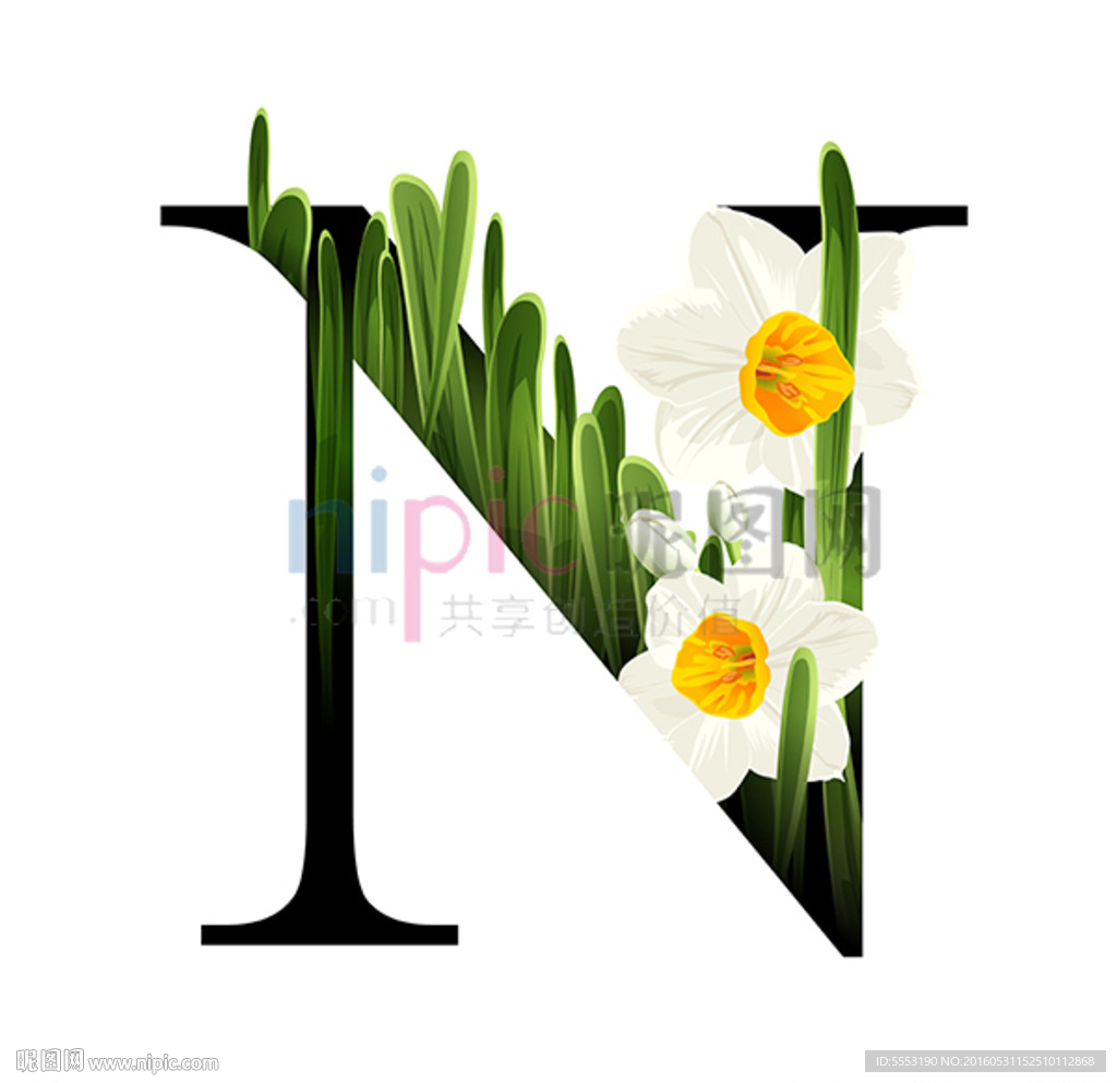 N英文字母