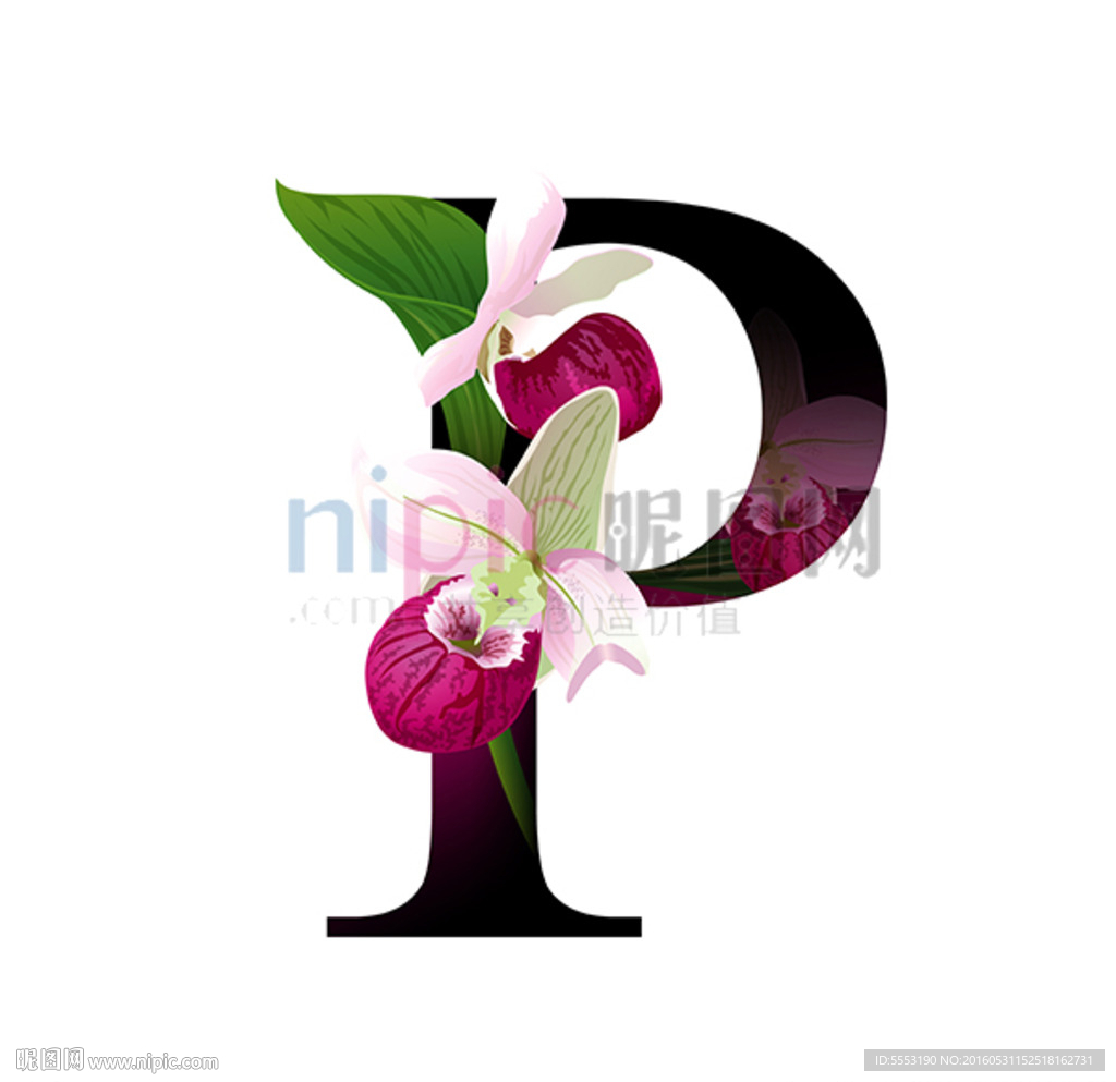 P英文字母
