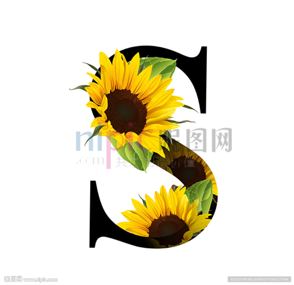 S英文字母