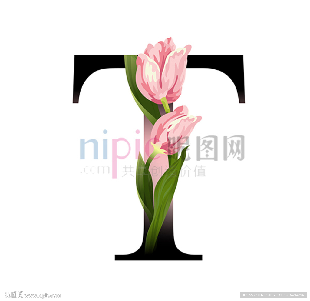 T英文字母