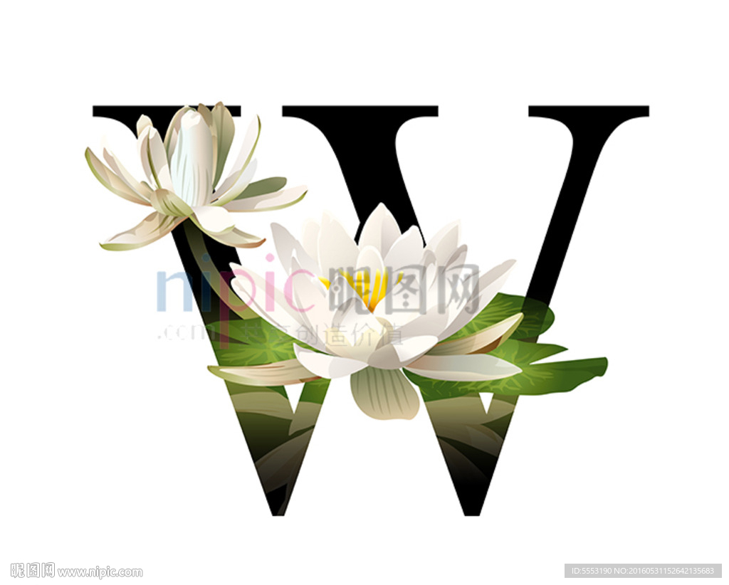 W英文字母