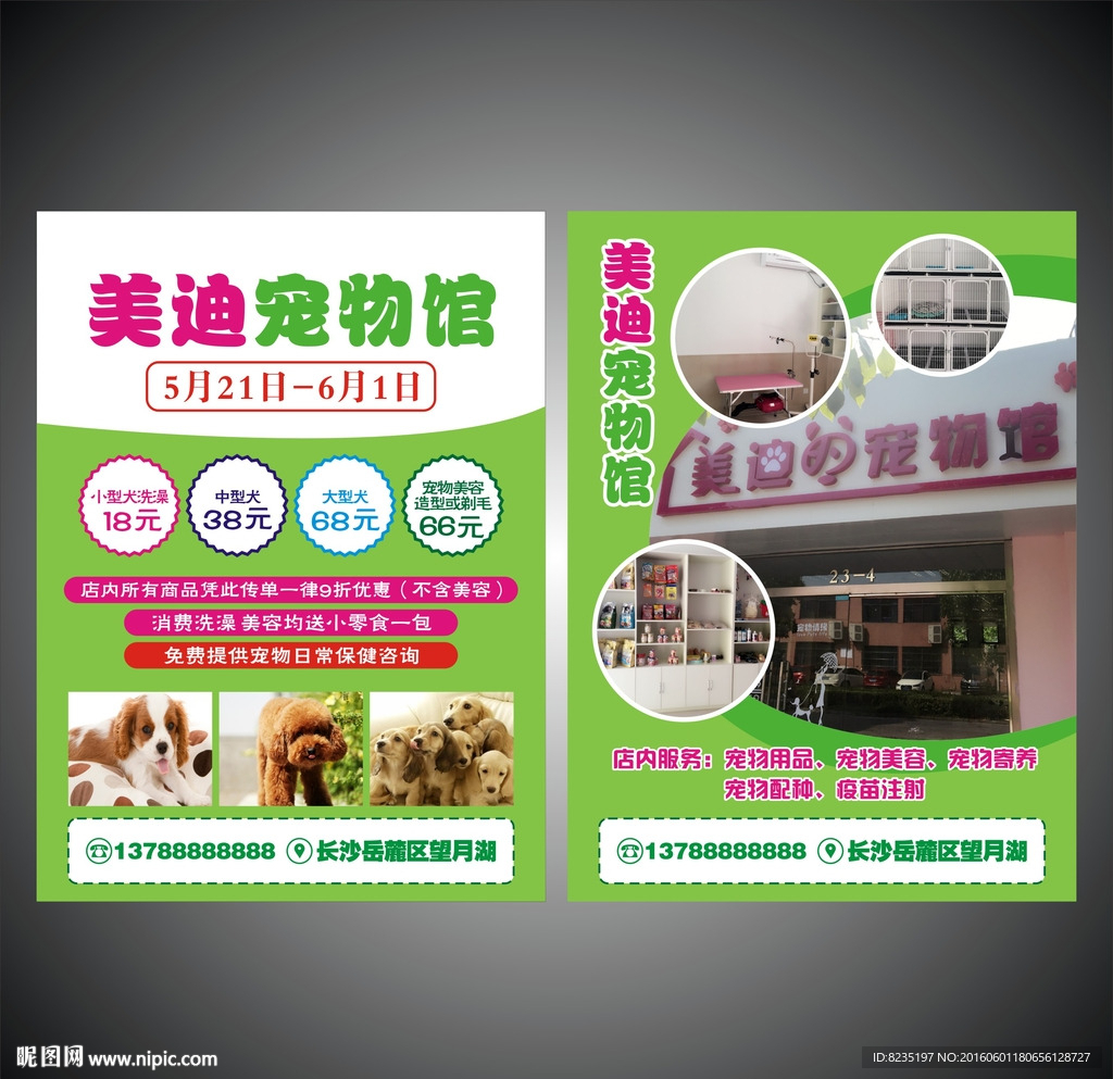 宠物宣传单
